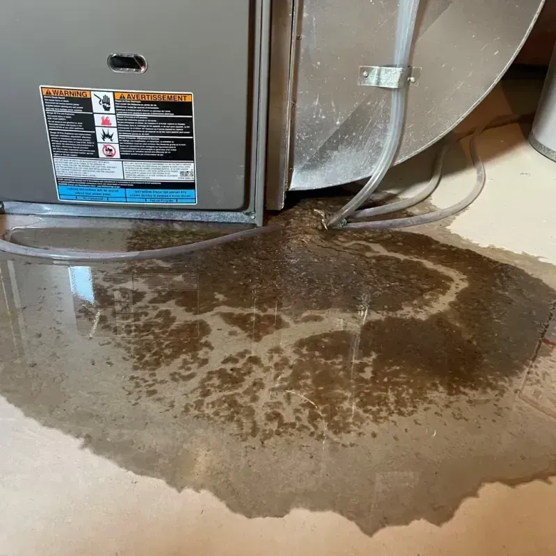 Appliance Leak Cleanup in Haslett, MI